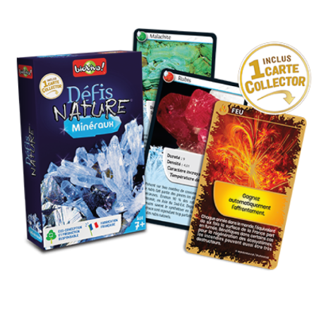 Nature Challenge - Minerals