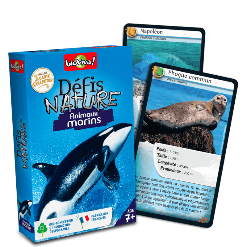 Defis Nature Animaux Marins Bioviva Com